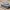 ISU-122 tank