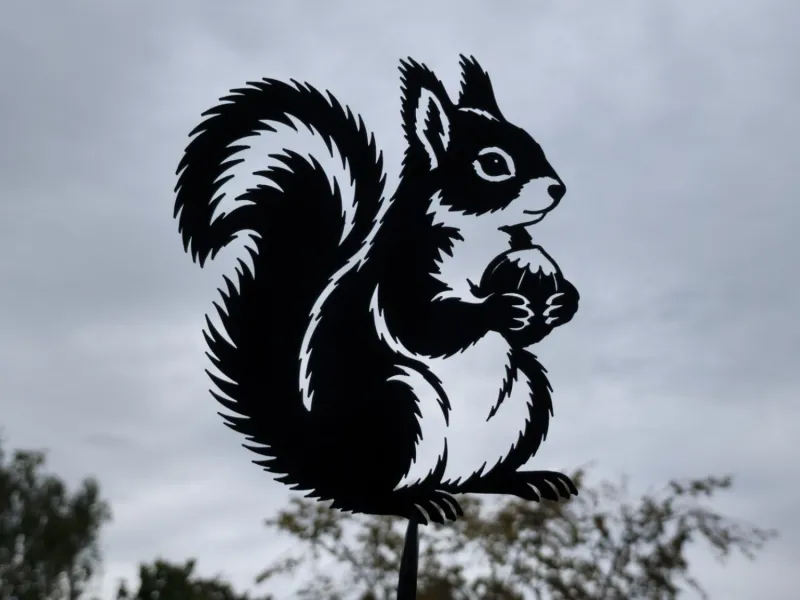 Squirrel with Acorn Wall Art Decor