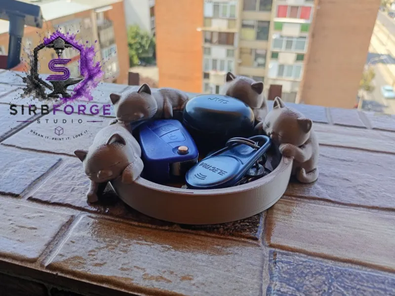 🐱🐱 Sleeping Cats Key Tray🐱🐱