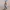 GOGETA SSJ BLUE DRAGON BALL SUPER GOKU/VEGETA FIGURE [FREE]