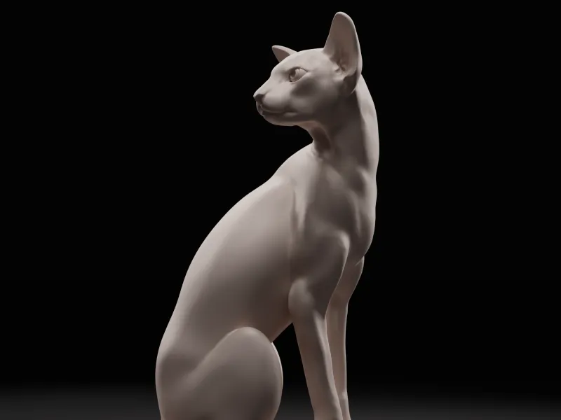 Oriental Shorthair cat