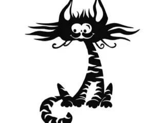 The crazy cat