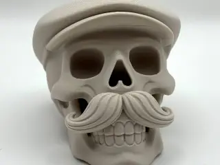 Sixpence Skull