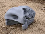 Dimetrodon Skull-0