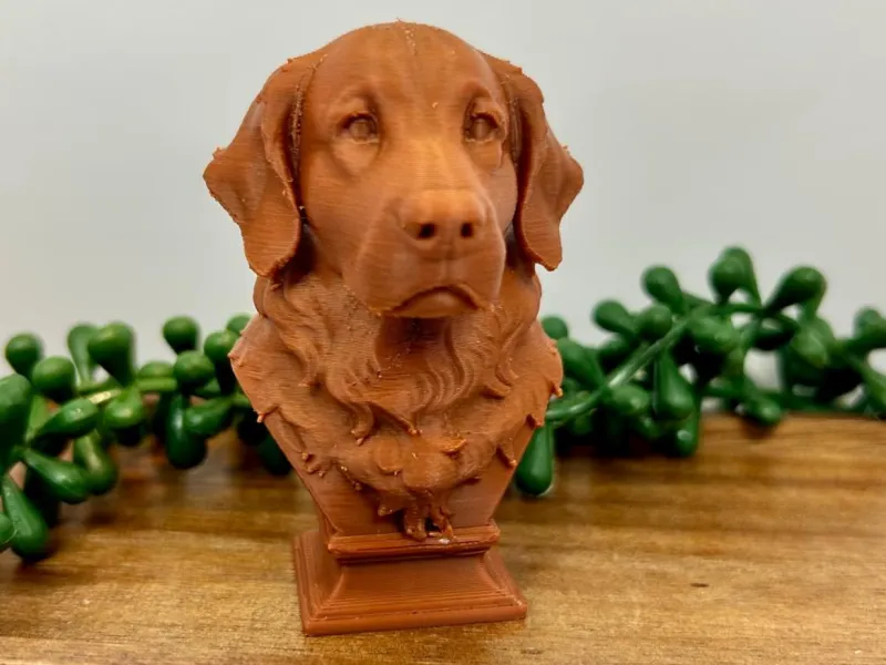 Busto di Golden Retriever