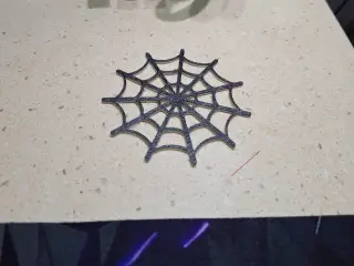 spider web coaster