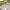 Ultra-Efficient Gridfinity Baseplate for IKEA ALEX