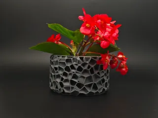 花盆-多边形