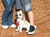 Dog-0
