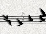 song birds WALL ART HOME DECOR-0