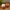 Dumpling Clicker Remix