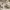 Stone Box (3D Scanned by Creality Otter Lite)