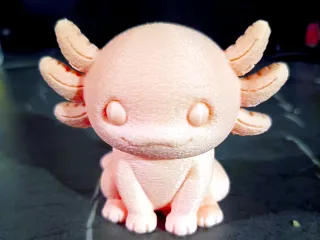 Cute Axolotl