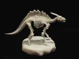 Modello di scheletro di dinosauro-0