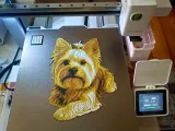 Lienzo Yorkshire Terrier-0