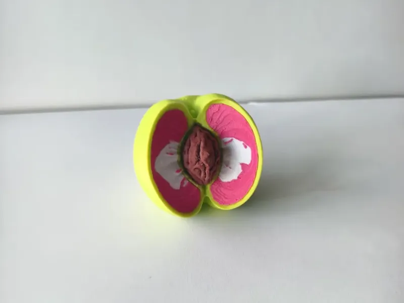 青桃子