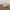 Covered Pioneer Wagon - Wild West Decorative Model