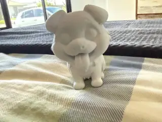 Max the Corgi cute dog