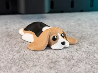Cute Dog