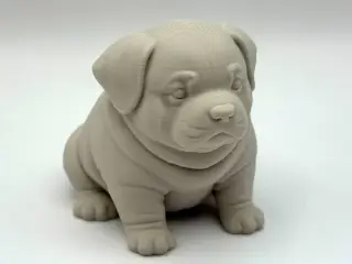 Chubby Puppy