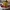 Brickbenchy: the masterpiece missing from the $9.99 box
