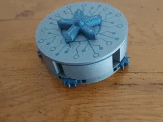 Electronic Flower Box