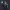 ZIKKO – SPIRIT OF COURAGE
