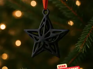 STAR ORNAMENT VORONOI