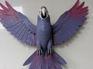 Parrot flying