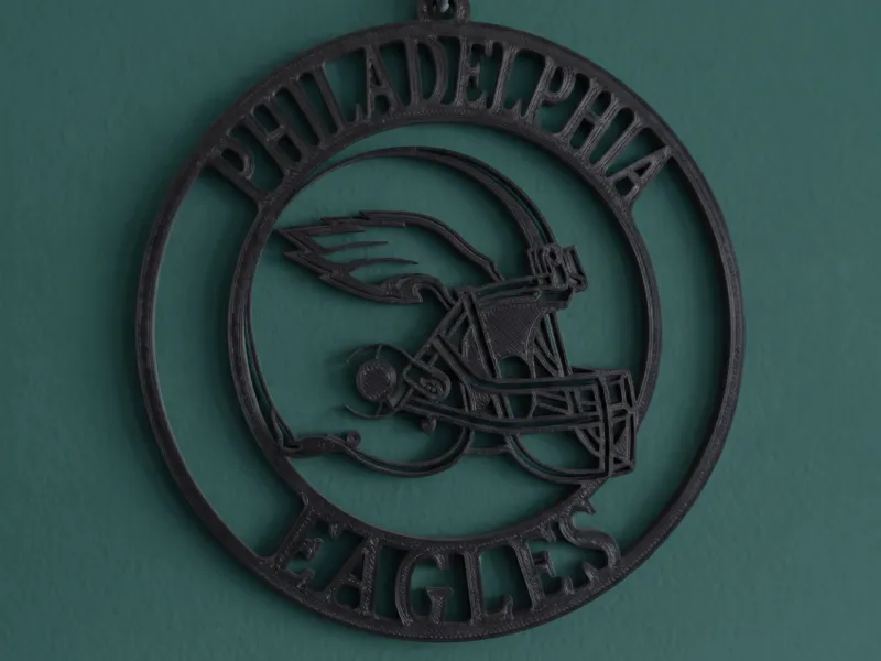 Philadelphia Eagles Wall Art - Home Decor - Sports Gift