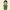 The Peter Pan Guy