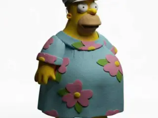 Homer Muumuu