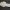 FloralBookmark
