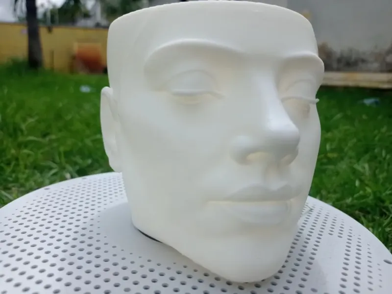 Vaso para plantas face feminina