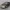 Honda Integra Type R 1995