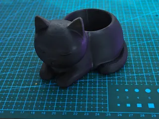 Kitty Cactus pot - Gatito maceta