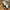 Flexi Cow – Articulated 3D Printed Cow Toy