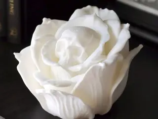 Skull Rose