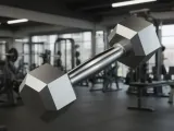 Hex Dumbbells (Ornament)-0