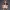 FEMALE NUDE BUST