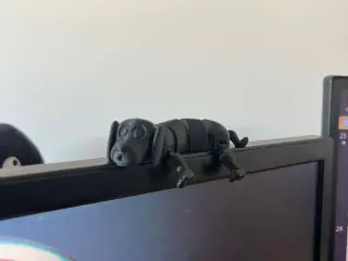 Flexidog