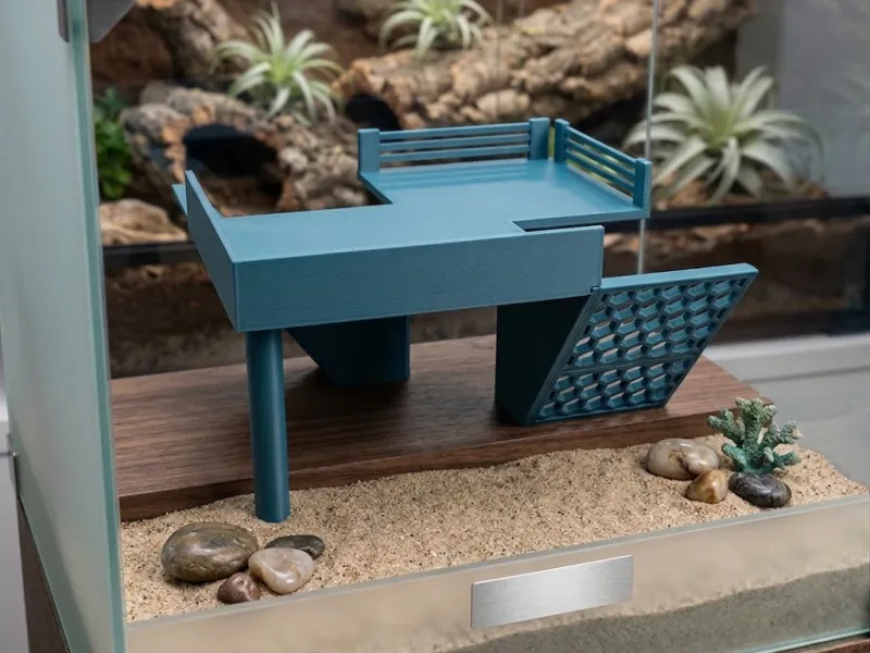 Hermit Crab Habitat