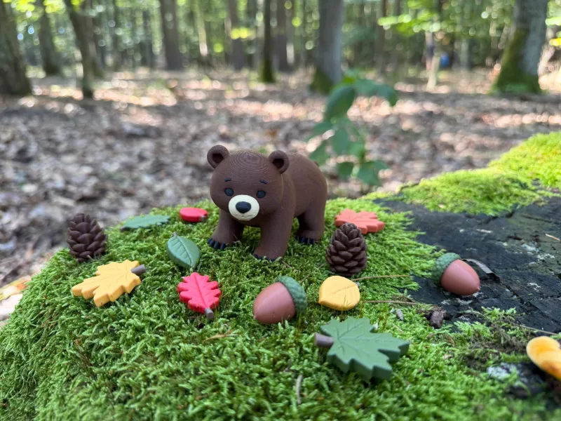 Urso da Floresta