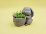 Cute Bunny Planter – 3D Printable Rabbit Flower Pot-0