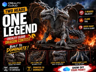 Double Trouble Dragon
