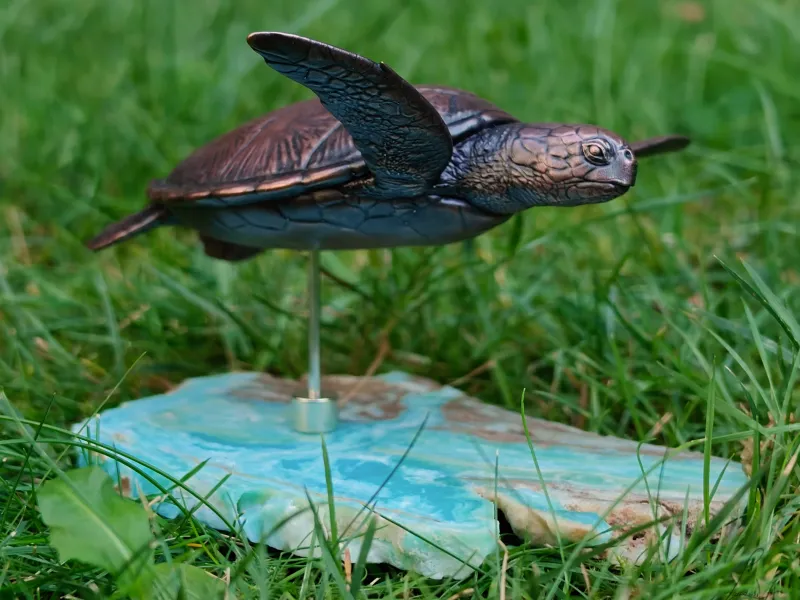 Irene's Green Sea Turtle