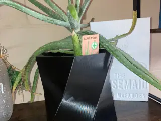 Basic Flower Pot