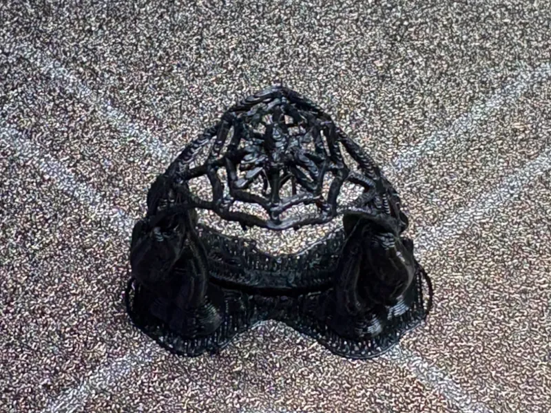 web ring