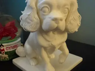 Cavalier King Charles