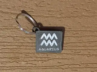Aquarius Keychain/Magnet